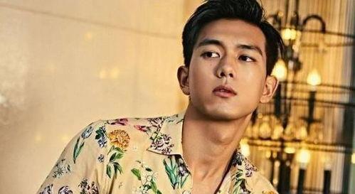 娱乐圈吃瓜李现,娱乐圈吃瓜达人，揭秘明星幕后故事  第3张