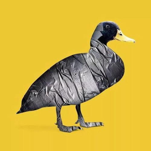 娱乐吃瓜遛鸟大师,吃瓜遛鸟大师带你领略明星幕后生活  第3张