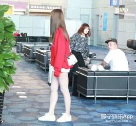 娱乐吃瓜君杜海涛,娱乐吃瓜界的风云人物  第2张