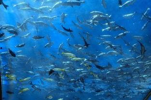 一线吃瓜娱乐圈by海底