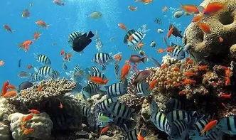 一线吃瓜娱乐圈by海底  第2张