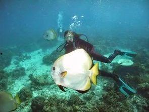 一线吃瓜娱乐圈by海底  第3张